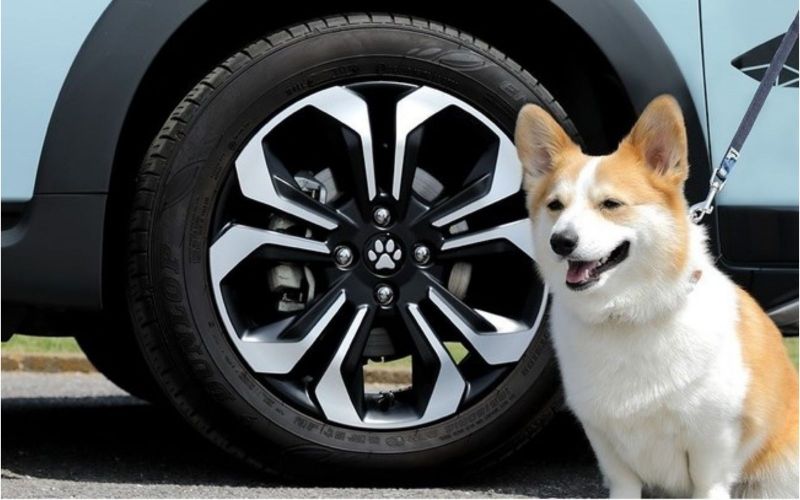 honda-dog-1 honda-dog-1